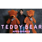 Teddy Bear Appearance (Large) by MS Magic Teddy Bear Appearance (Large) by MS Magic