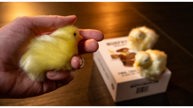 The Final Load (Baby Chicks) by Murphy s Magic - 2026 The Final Load (Baby Chicks) by Murphy s Magic - 2026