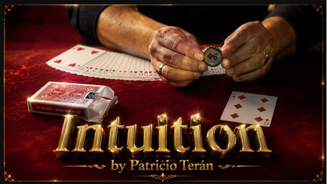 Intuition by Patricio Teran - 2026