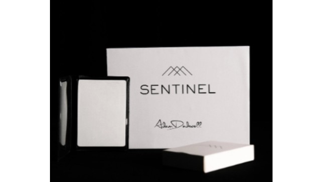 Sentinel by Adam Dadswell. - 2026