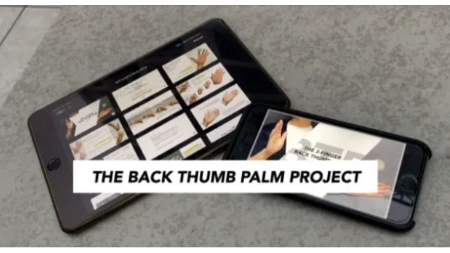 BTP Project By Micky Wong (Video+PDF) - 2026