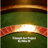 Triumph Ace Project By Miku W