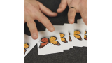 Caterfly by My Magical Project Caterfly by My Magical Project