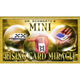 Mini Card Rise Miracle by Martin Schwartz