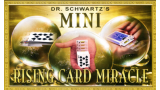 Mini Card Rise Miracle by Martin Schwartz