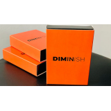 Diminish by Damian Surr