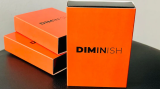 Diminish by Damian Surr