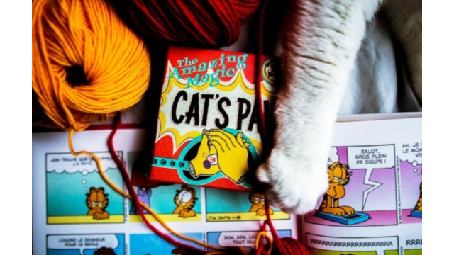 Cats Paw by Daniel Madison - Close-Up Tricks & Street Magic Cats Paw by Daniel Madison - Close-Up Tricks & Street Magic