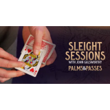 Sleight Sessions - Palms and Passes by John Galsworthy Sleight Sessions - Palms and Passes by John Galsworthy