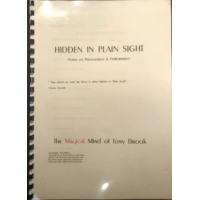 Hidden in Plain Sight by Tony Brook