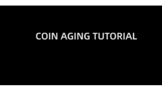 TCC – Artisan Coin Aging - 2025