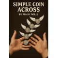 Simple Coins Across Online Lecture by Fuki