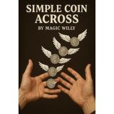 Simple Coins Across Online Lecture by Fuki
