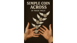 Simple Coins Across Online Lecture by Fuki