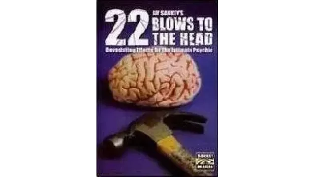22 Blows To The Head by Jay Sankey