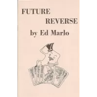 1996 Lecture Notes by Trevor Lewis