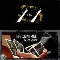 Bs Control by Lee Asher