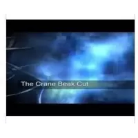 The Crane Beak Cut by Owen Packard