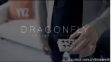 Dragon Fly by Peter Mckinnon