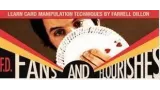 Fans & Flourishes by Farrell Dillon