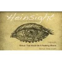 Heinsight by Karl Hein