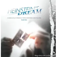 Heinstein's Dream by Karl Hein