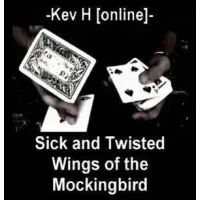 Kevin Ho Sick And Twisted Wings Of The Mockingbird