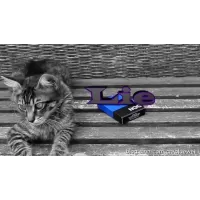 Lie by Daniel Hybrids