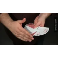 Mechanical Fan Steal by Paul Wilson
