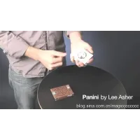 Panini by Lee Asher