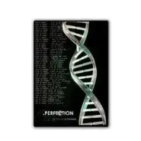 Perfection by Oz Pearlman