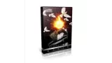 Pigeon Pigeons Road Stage Magic Teaching by Jacky