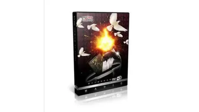 Pigeon Pigeons Road Stage Magic Teaching by Jacky