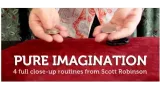 Pure Imagination by Scott Robinson