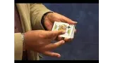 Rear Palm Color Change by Michael Vincent