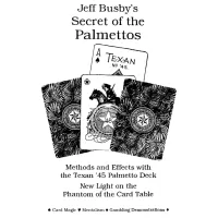 Secret Of The Palmettos by Jeff Busby