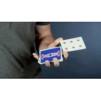 T3 Cut by Jason Soll