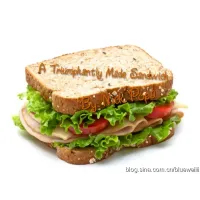 A Triumphantly Made Sandwich by Nick Popa
