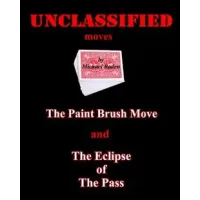 Unclassified Moves by Michael Boden