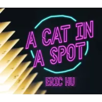 A Cat In A Spot by Eric Hu