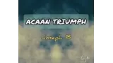 Acaan Triumph Fooler by Joseph B