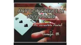 Any Coincidence At Any Number by Joseph B