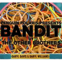 Bandit by Darryl Davis & Daryl Williams