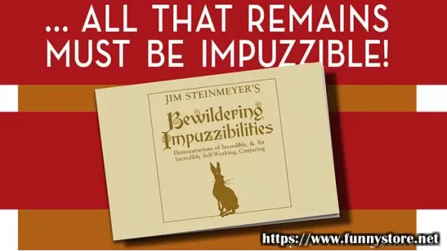 Bewildering Impuzzibilities by Jim Steinmeyer