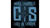 C.I.S. by Mark Calabrese