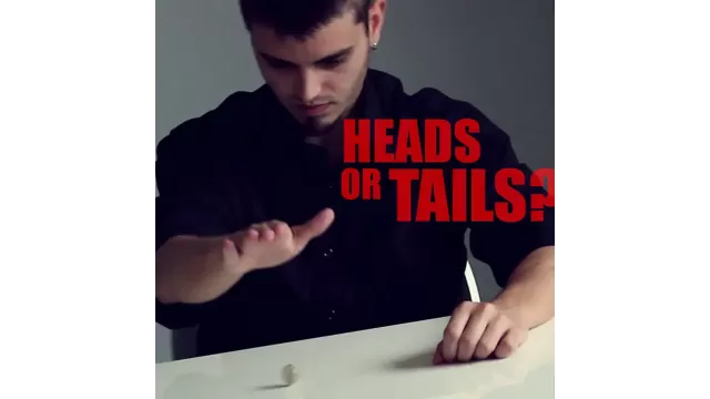 Capicua (Heads Or Tails?) by Thinking Paradox