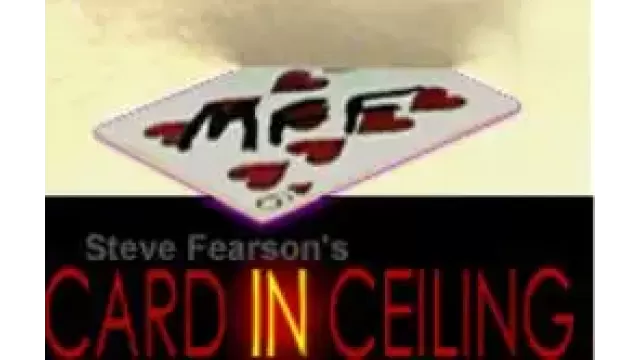 Card In Ceiling by Steve Fearson
