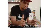 Card Plucker by Sachin.K.M