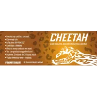 Cheetah by German Dabat & Michel