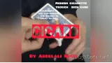Cicard by Abdelali Nour